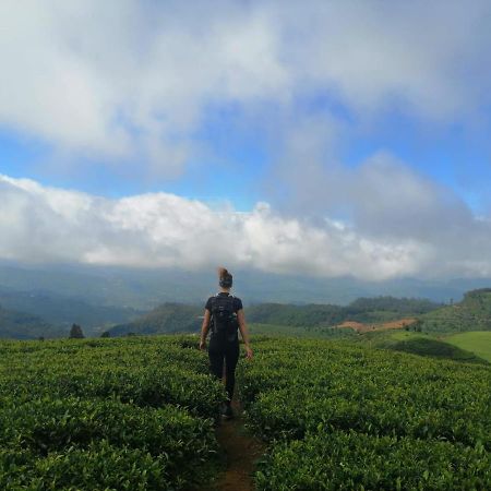 Hotel Unique View Nuwaraeliya Nuwara Eliya Exteriér fotografie