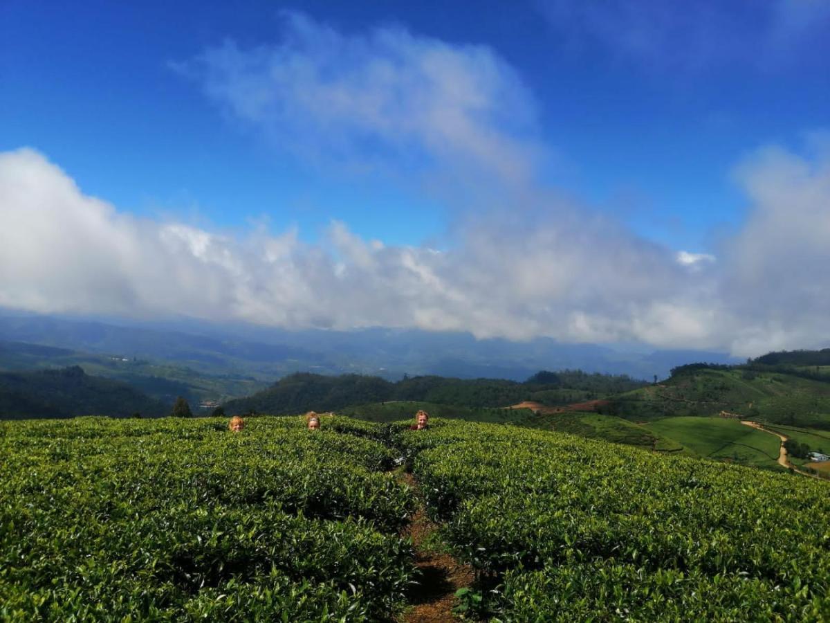 Hotel Unique View Nuwaraeliya Nuwara Eliya Exteriér fotografie