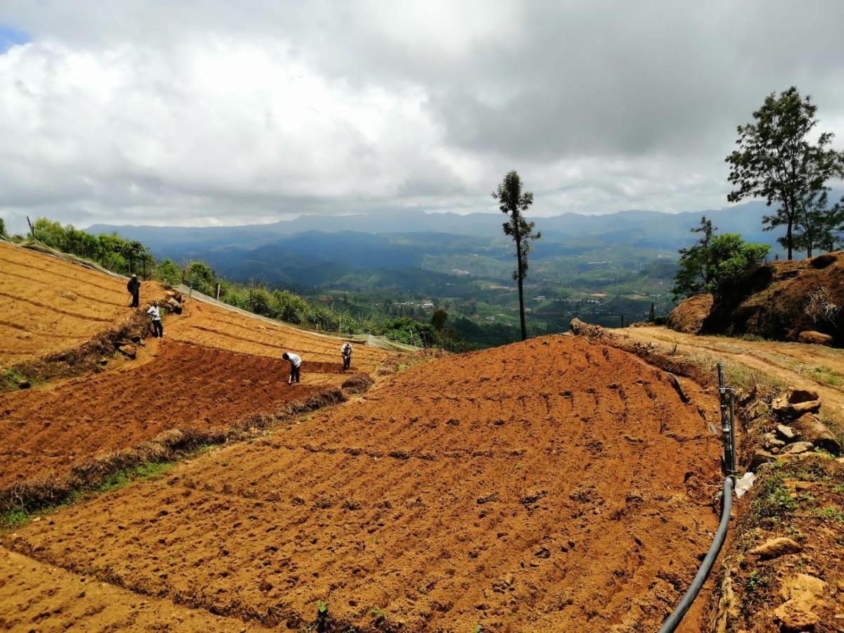 Hotel Unique View Nuwaraeliya Nuwara Eliya Exteriér fotografie